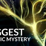 The Universe Is Not What We Thought—Here’s Why