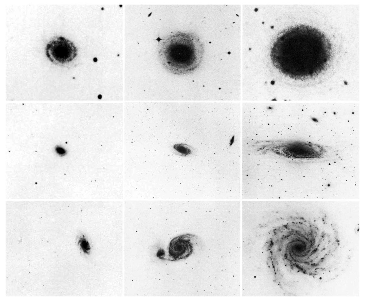Why Spiral Galaxies Reveal Dark Matter’s Secret