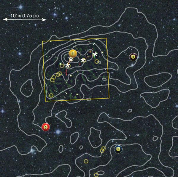 Do Stars Lose Gravity as They Age?