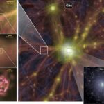 How Dark Matter Built the Cosmic Web of the Universe