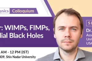 What Are WIMPs? The Leading Dark Matter Candidate